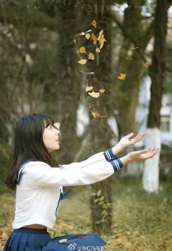 芳草地电影免费观看