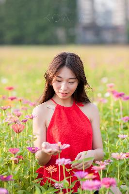 雏鸟幼儿小学生张婉莹,女大学生的沙龙室